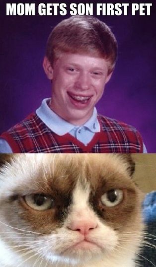 badluckbrian