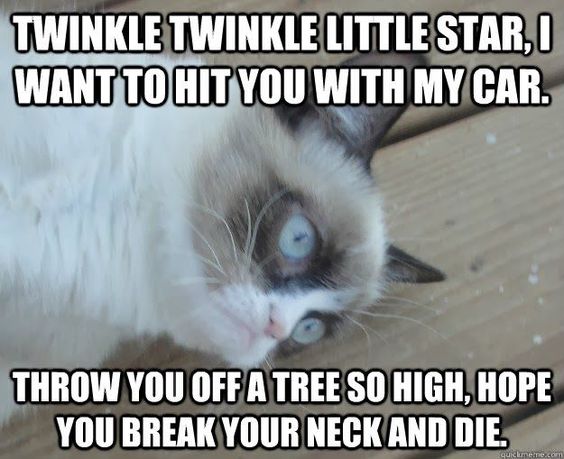 grumpy cat