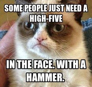 grumpy cat