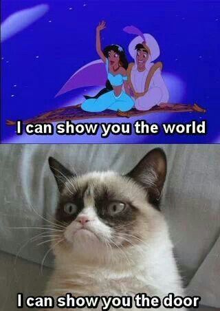 grumpy cat