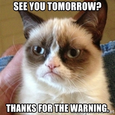 grumpy cat