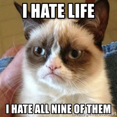 grumpy cat